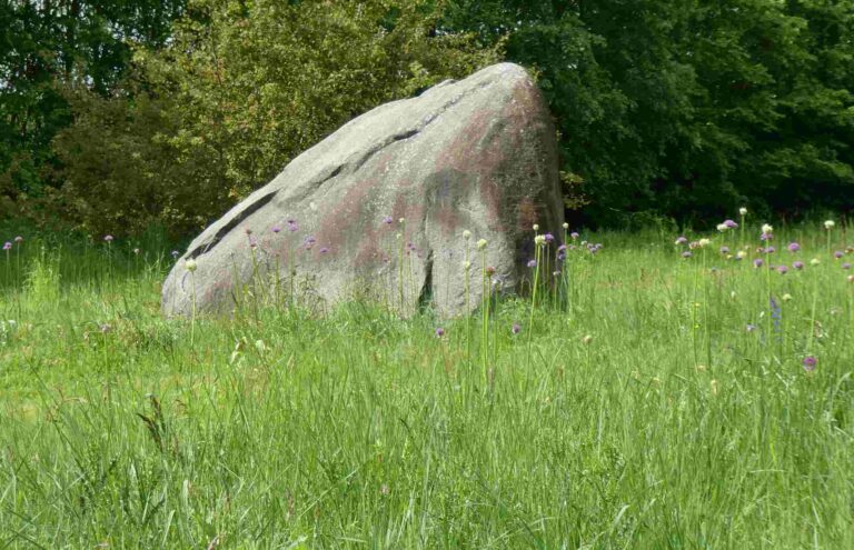 P1020355 freigestellt 768x495