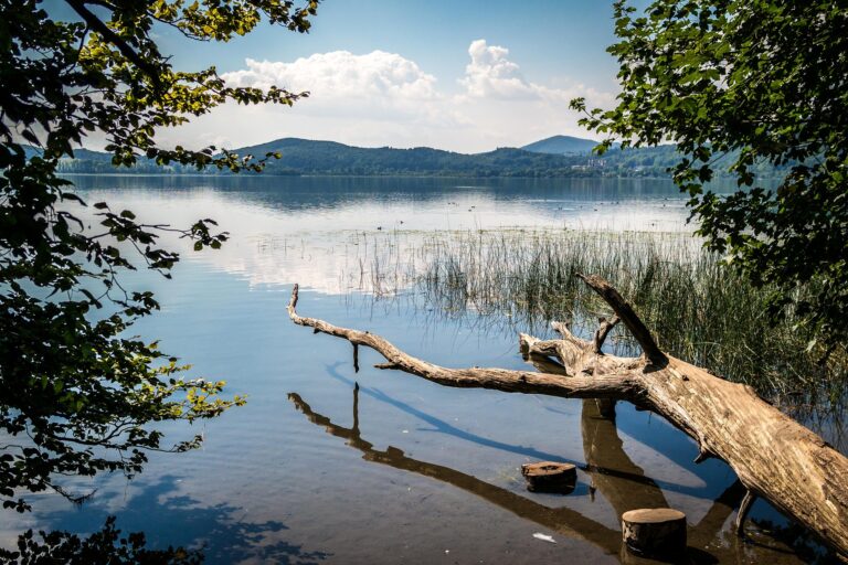 lake 928951 1920 768x512