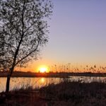 sonnenuntergang mit weide 2 150x150
