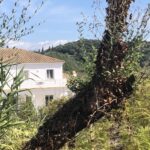 Manto Farmhaus w 150x150