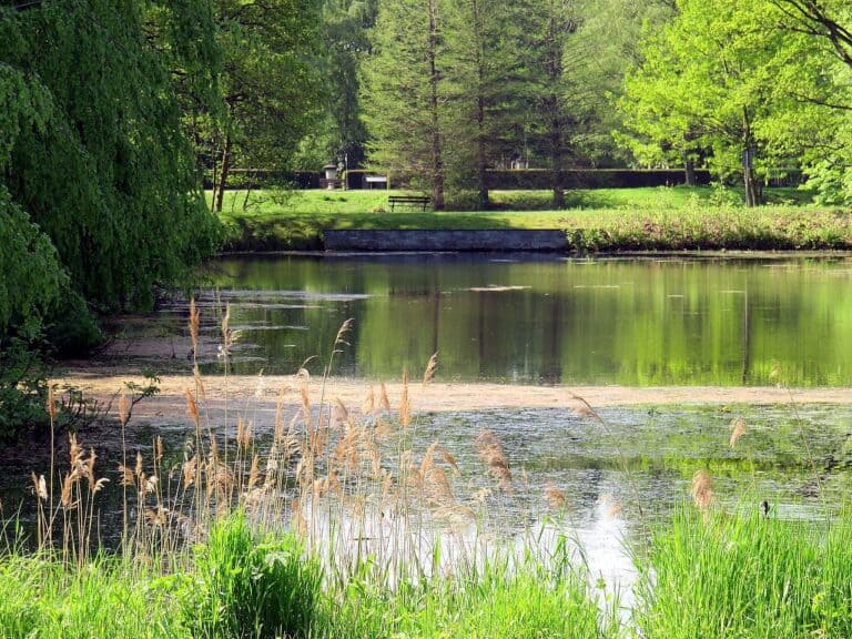 T Teich FriedhofOhlsdorf 768x576