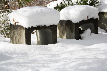 Schnee in Hoerschwag 040 2 1