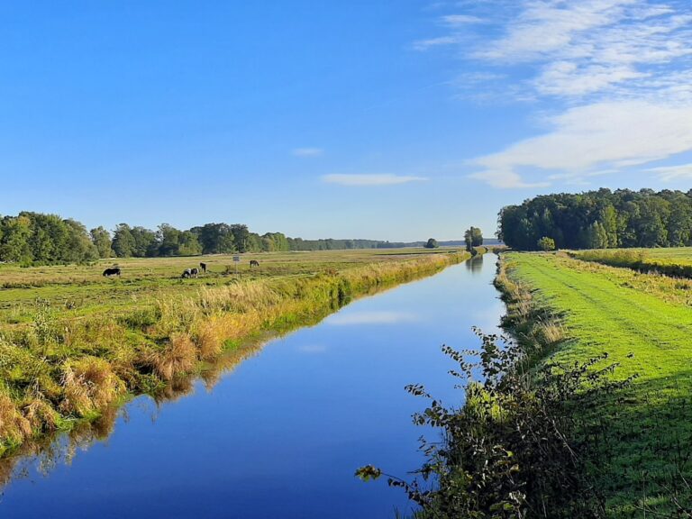 10. Landschaft 3a 768x576