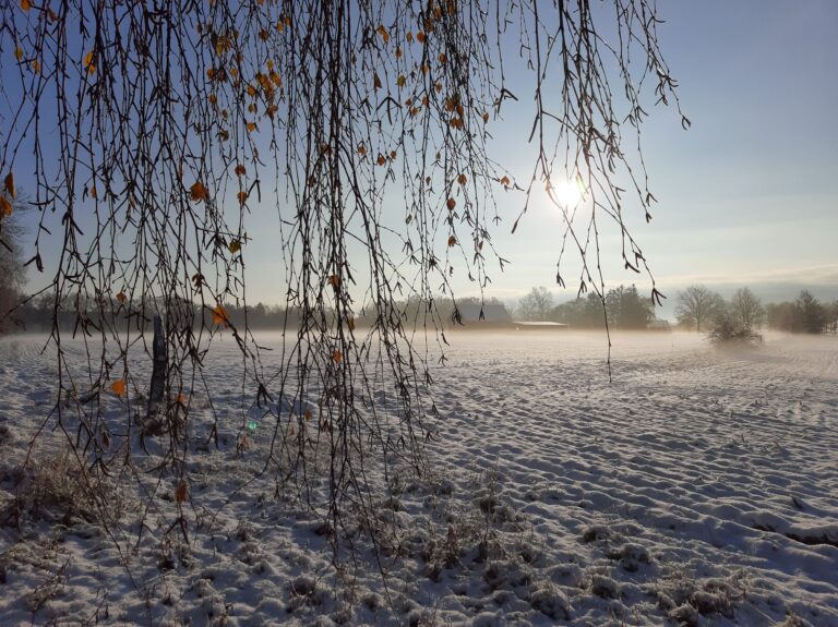 13. Winter1 768x575