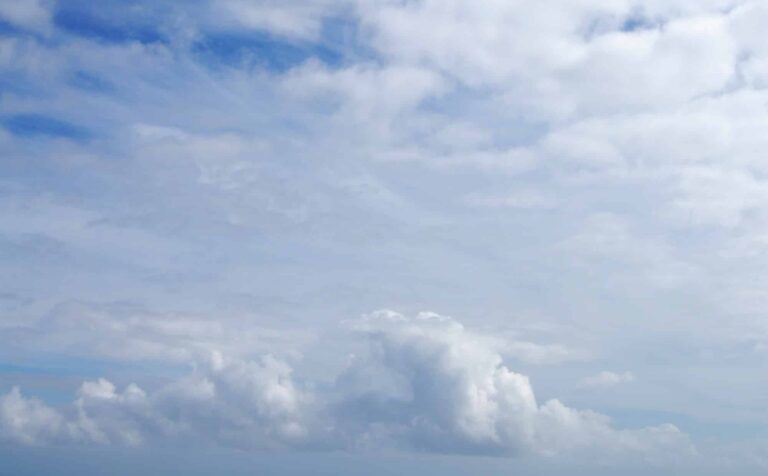 DSC 0157 1 b 768x476