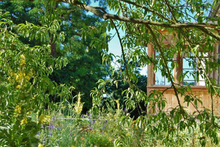 Garten 768x511